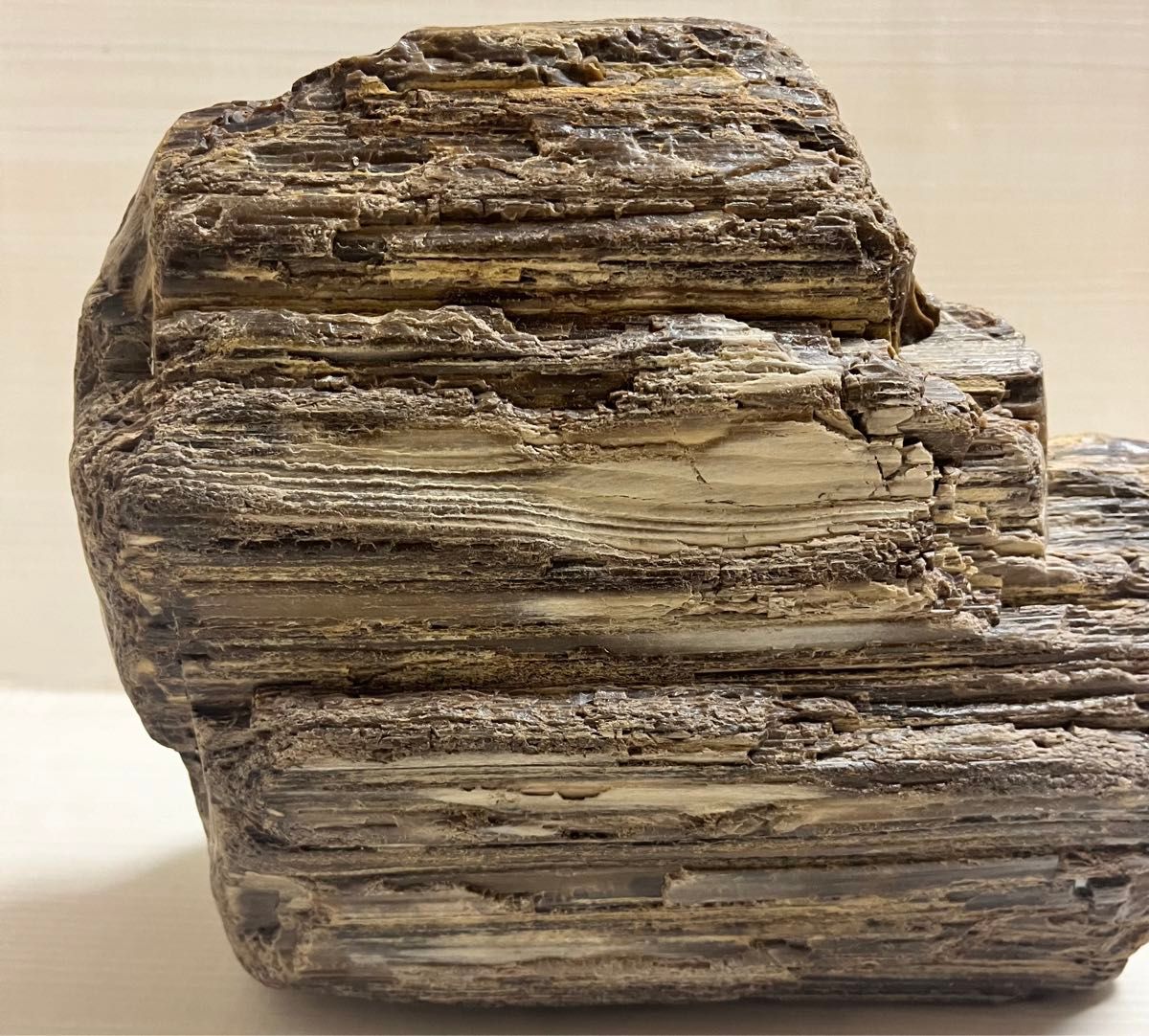 木化石 鑑賞石 原石 石の置物 台座付き W40 D10 H32．5