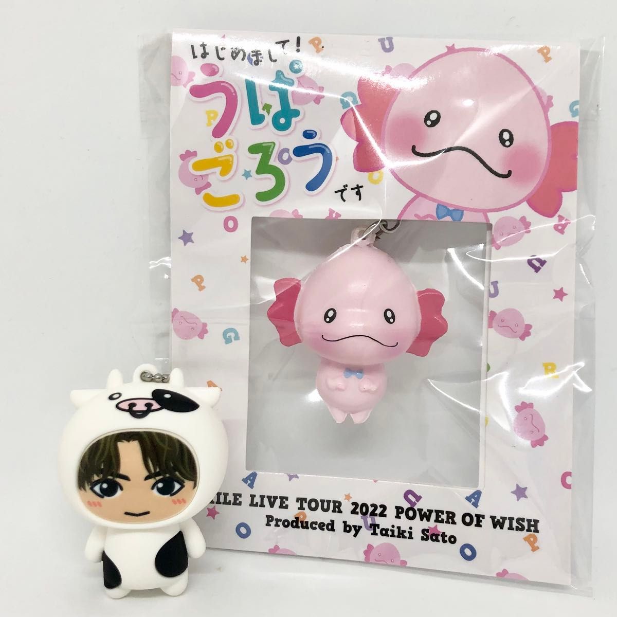 専用出品【美品】EXILE 佐藤大樹 2点セット うぱごろう メンプロ