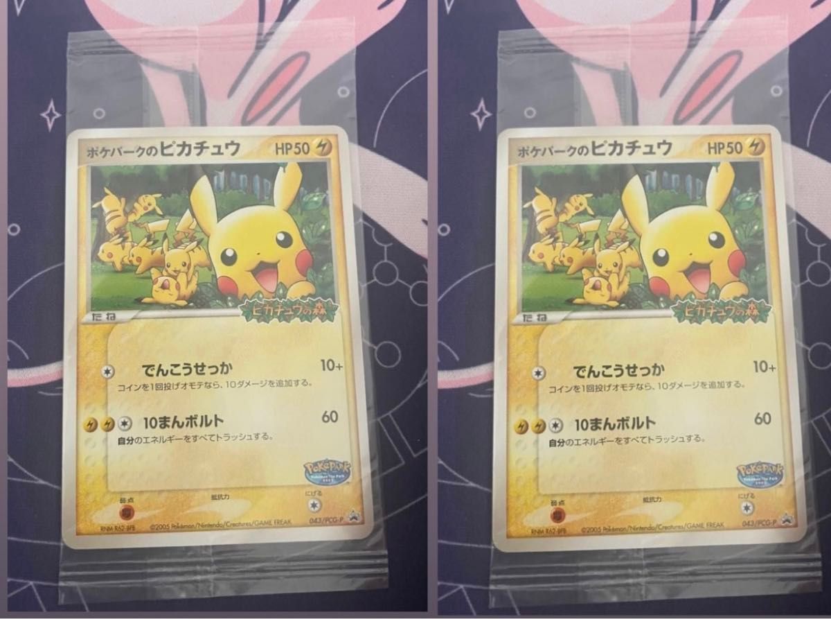 ポケパークのピカチュウ 未開封 【公式通販】