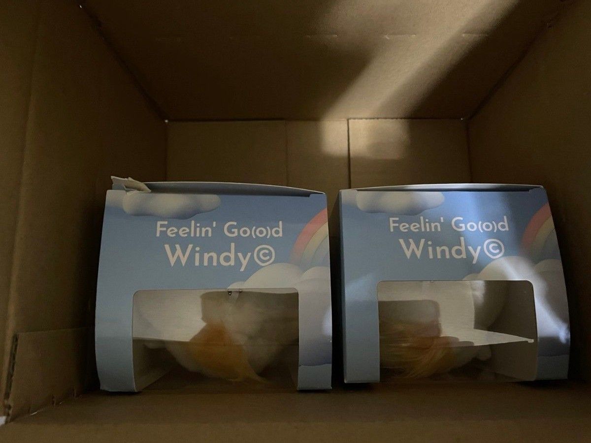 Fujii Kaze 藤井風 Windy ぬいぐるみキーホルダー 2個セット