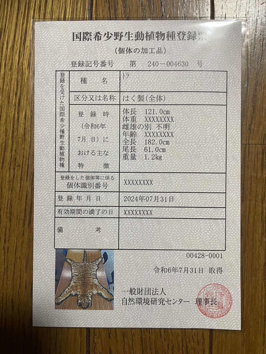 Yahoo!オークション - 虎 トラ 敷物 剥製 国際希少野生動植物登録表付