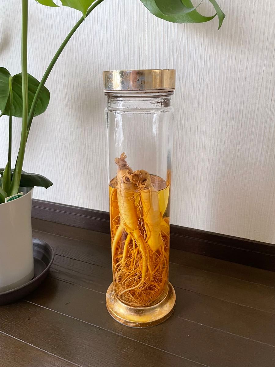 40年超☆高麗人参老酒 薬酒 古酒☆貴重高麗人参酒☆ 高麗人参酒 古酒