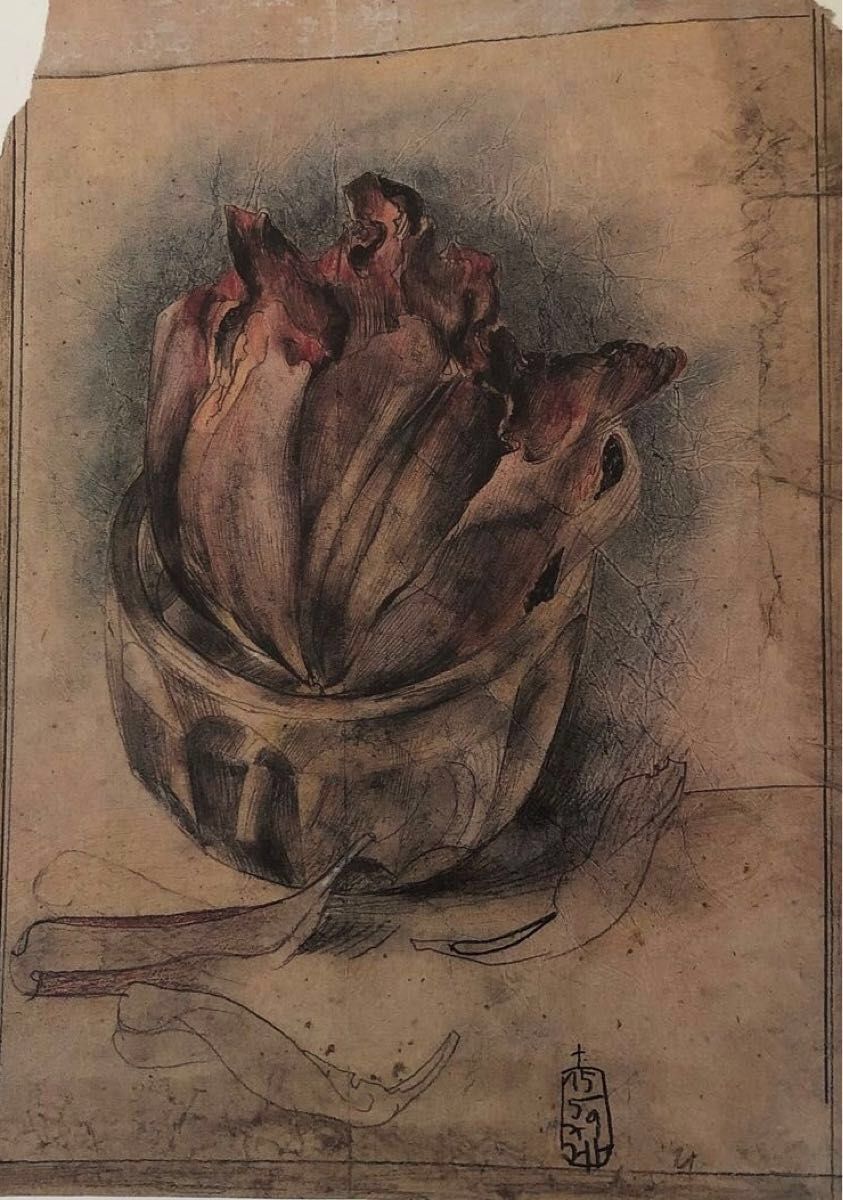 珍ホルストヤンセン展画集 1982年7／9 〜 7／27 船橋西武美術館 主催