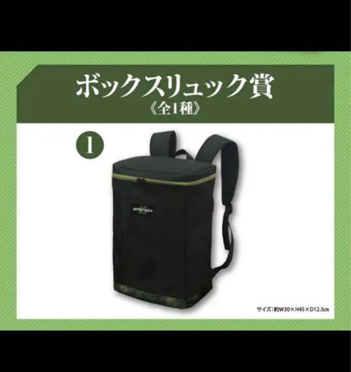 櫻坂、欅坂46THE LAST LIVE バックパック リュック 限定品 櫻坂、欅坂