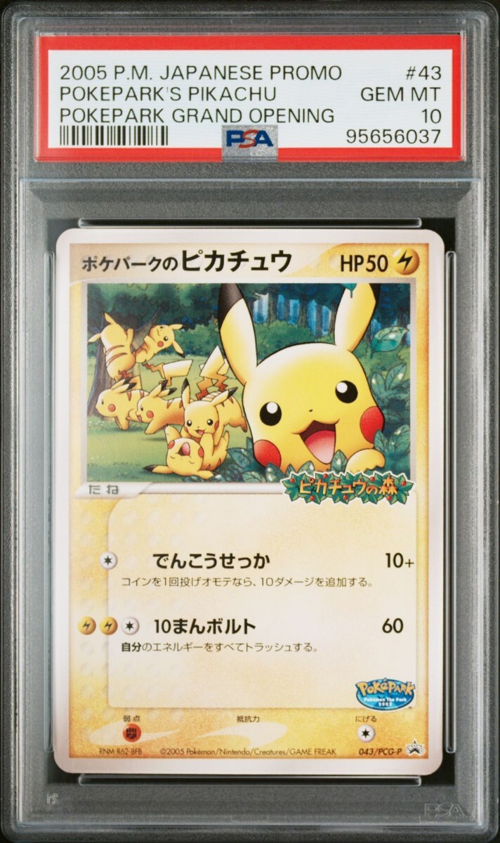 ポケパークのピカチュウ ピカチュウの森 ポケカ プロモ ポケパークの