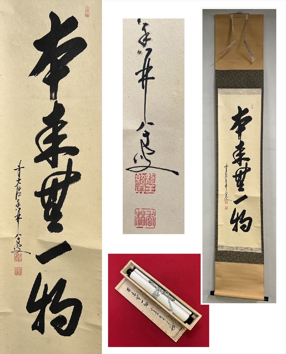 まーちゃん】大橋香林 掛軸「今日是好日」茶掛 共箱付 25.11.2−1 まー