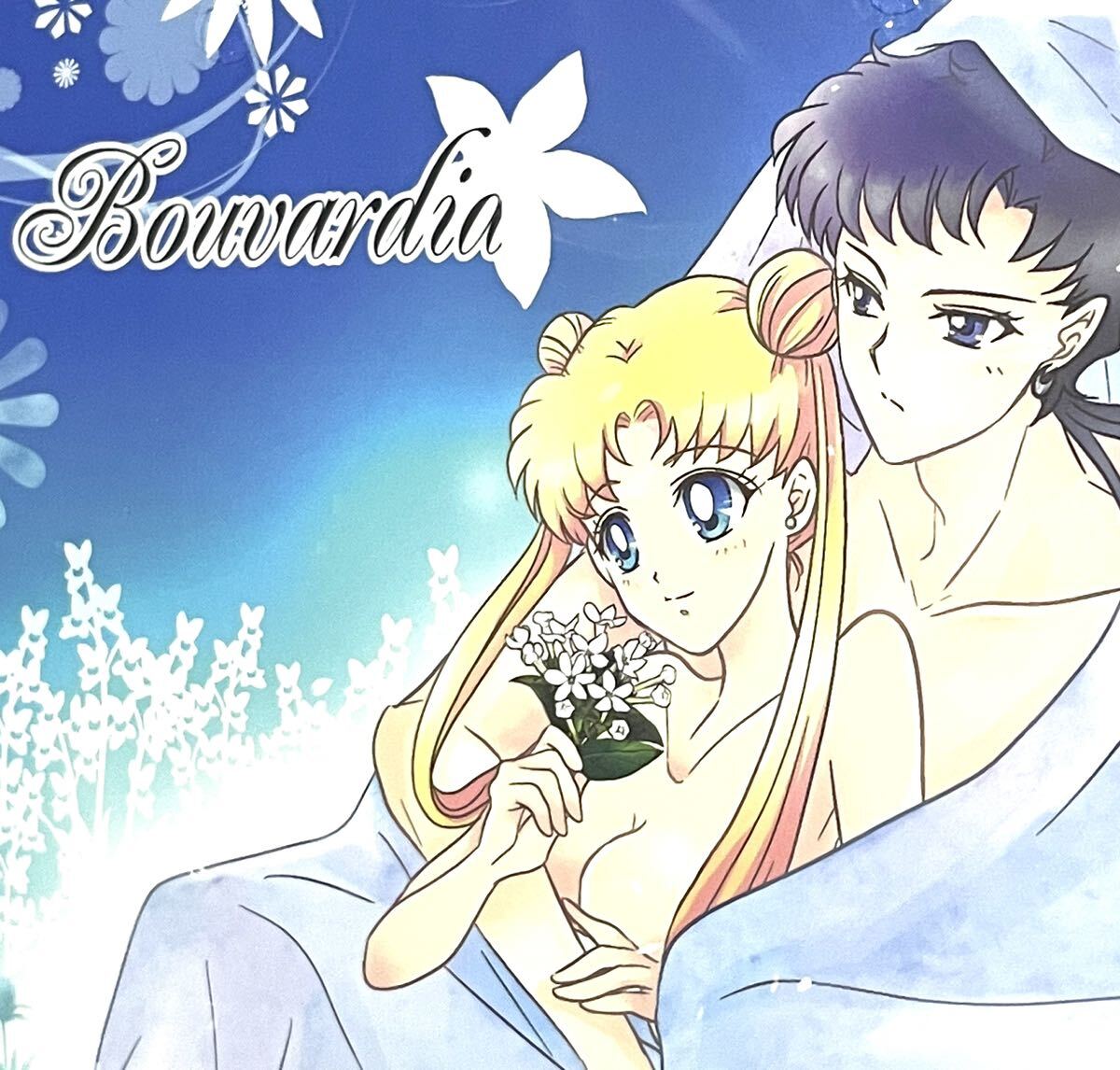 お得♡美少女戦士セーラームーン スリーライツ スターライツ 星野