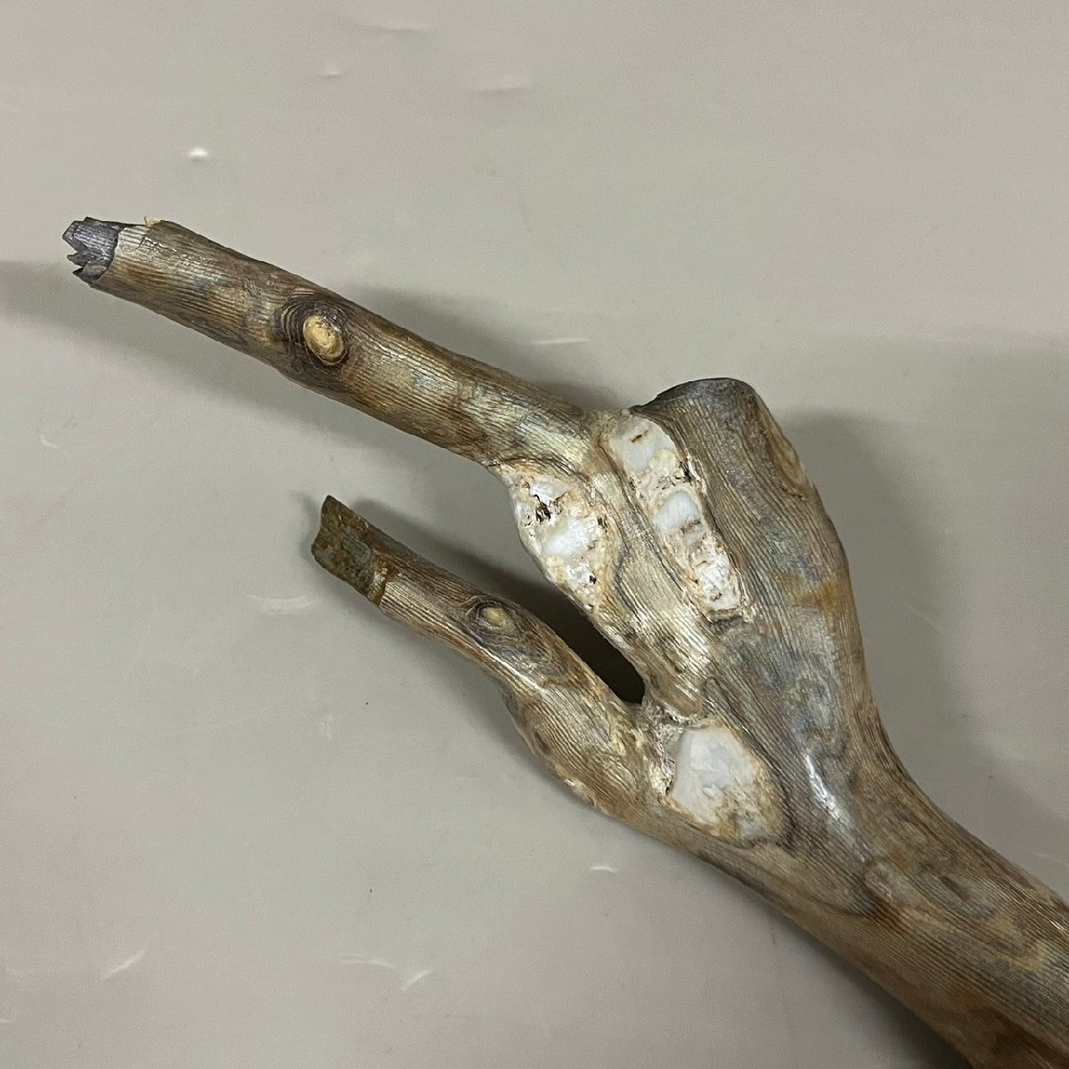 Yahoo!オークション - 海松 深海松 原木 レインボーコーラル 全長約45c