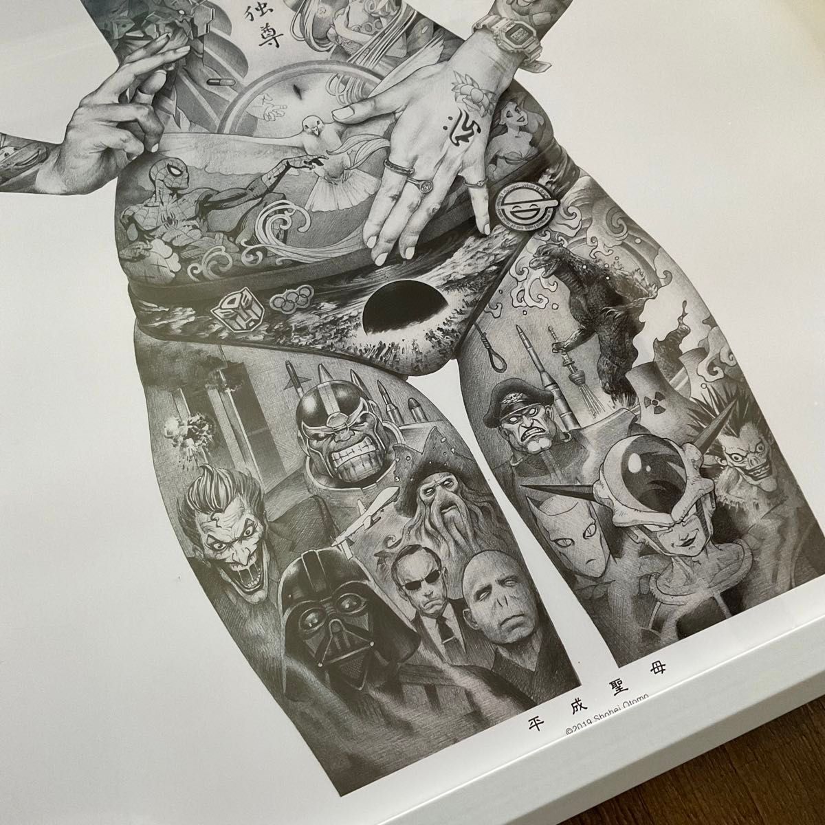 大友昇平 / Shohei Otomo 「平成聖母」未使用品 大友克洋 AKIRA アキラ