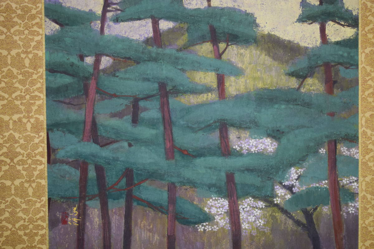 不詳】/作者不詳/松山桜花図/桐箱太巻二重箱付/布袋屋掛軸