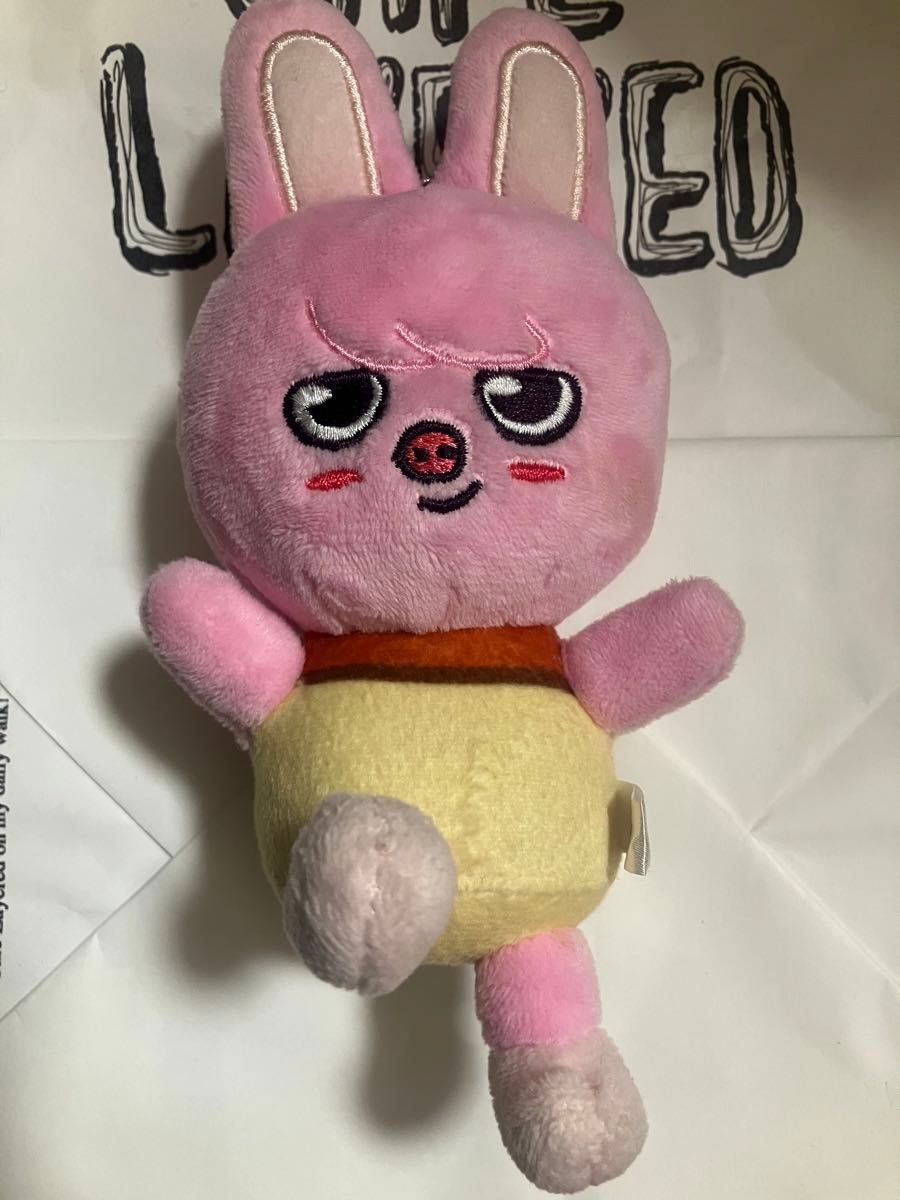 StrayKids スキズ チャンビン DWAEKKI トエッキ テディベア straykids