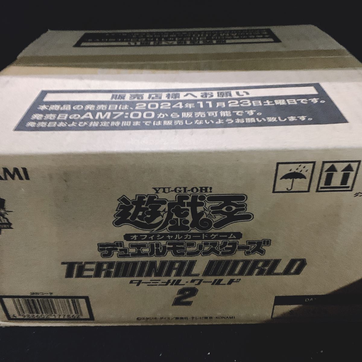 terminal world ターミナルワールド 1カートン 24box