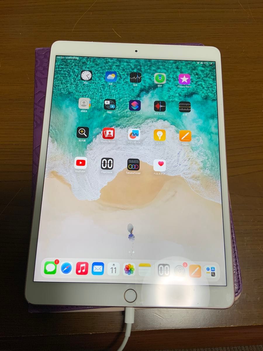 iPadPro 10.5 Wi-Fi+Cellular 64GB（ジャンク品） 【公式通販】
