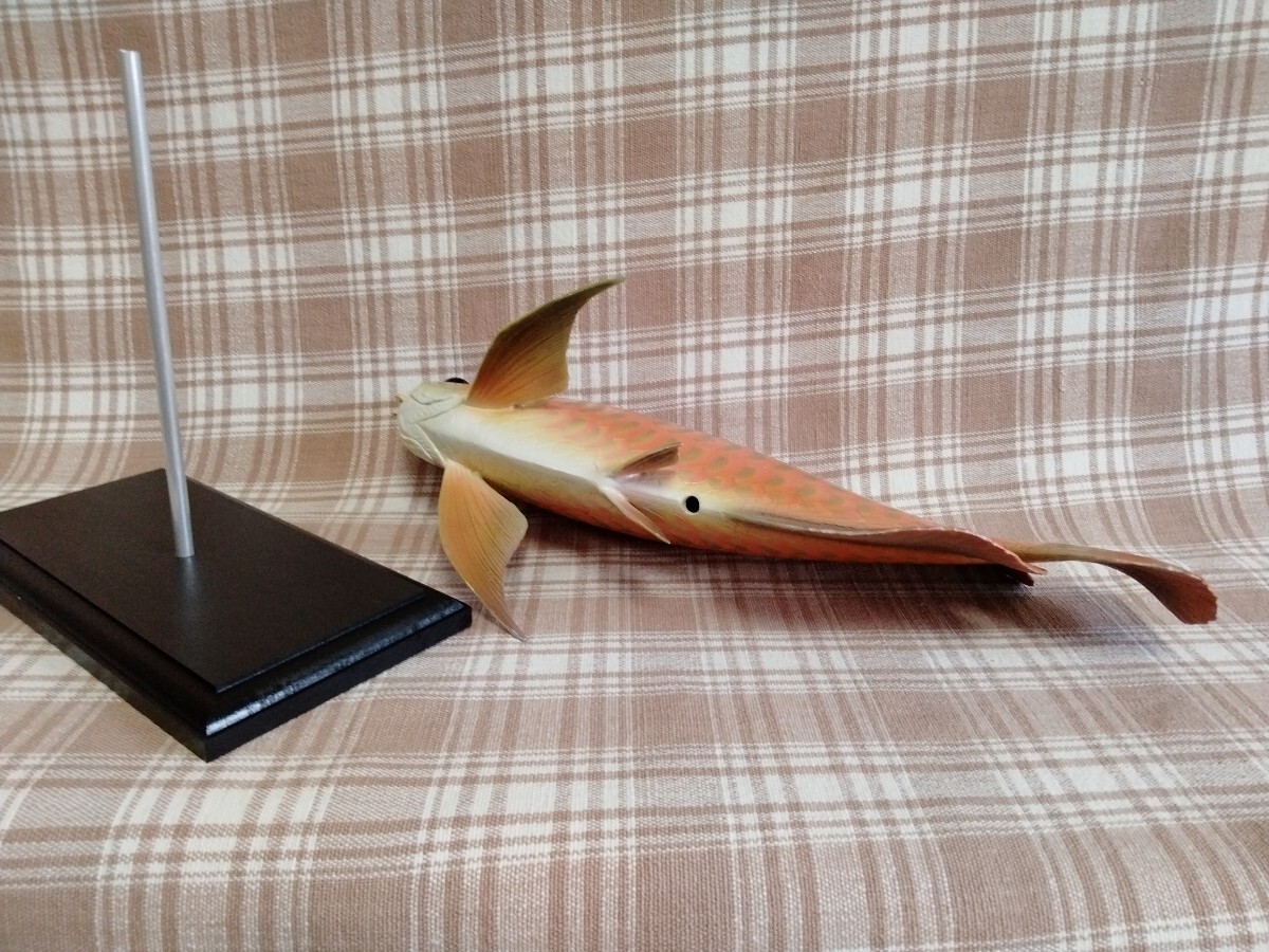 新作1 36cmアロワナ 魚模型 フィギュア レプリカ 魚オブジェ 金色