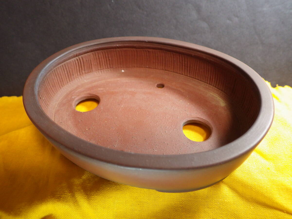 美芸 黄 盆栽鉢｜美芸 楕円 黄 盆栽鉢 美芸盆栽鉢