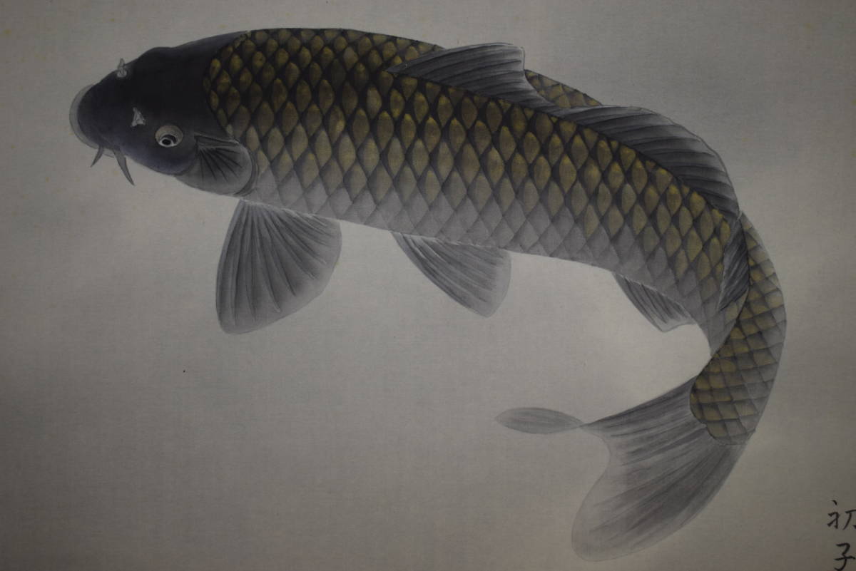 真作/松生春湖/松林図/桐共箱太巻箱付/布袋屋掛軸HI-377