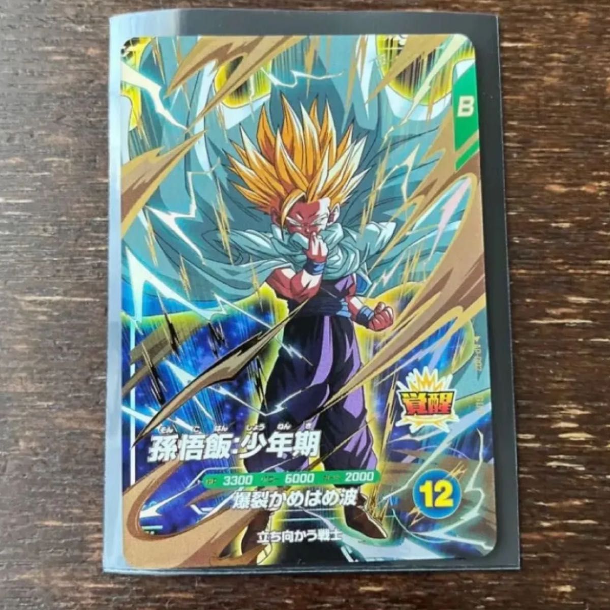 孫悟飯 少年期 GDR ドラゴンボール スーパーダイバーズ】孫悟飯:少年期