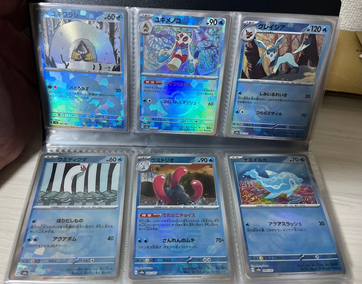 マスターボールミラー コンプ テラスタルフェス コンプリート 101種類