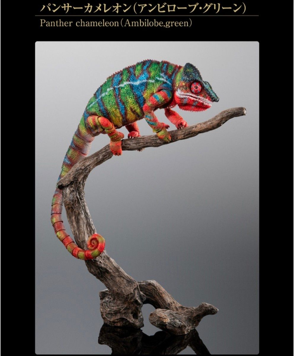 いきもの大図鑑プレミアム パンサーカメレオン（レッド/グリーン）2体