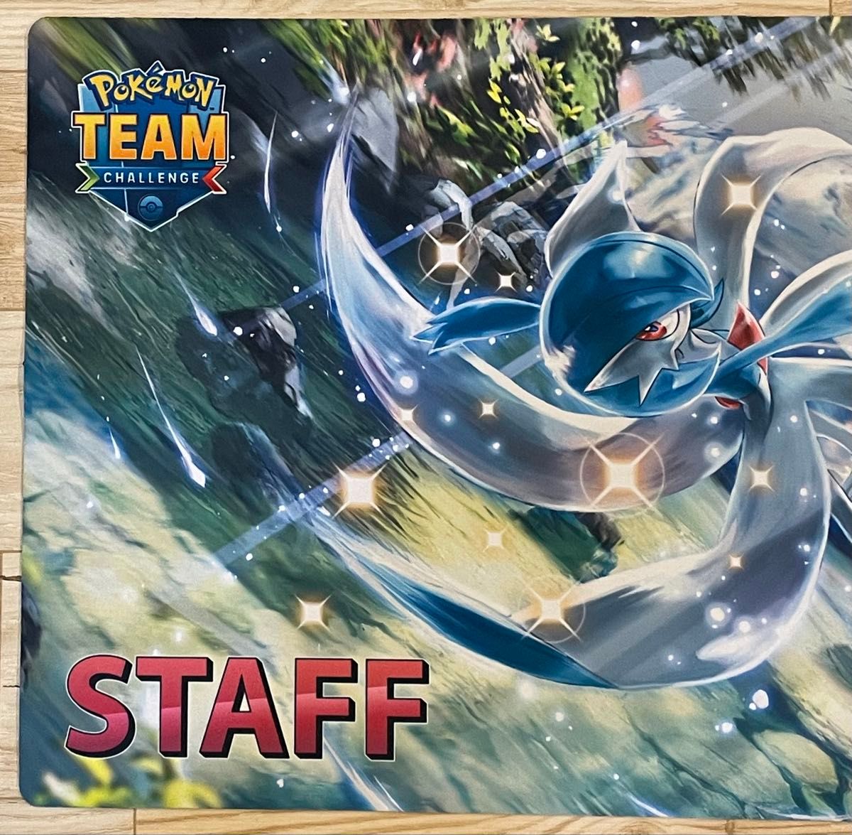 希少【海外限定】2015 PLAY! メガサーナイト プレイマット 希少【海外