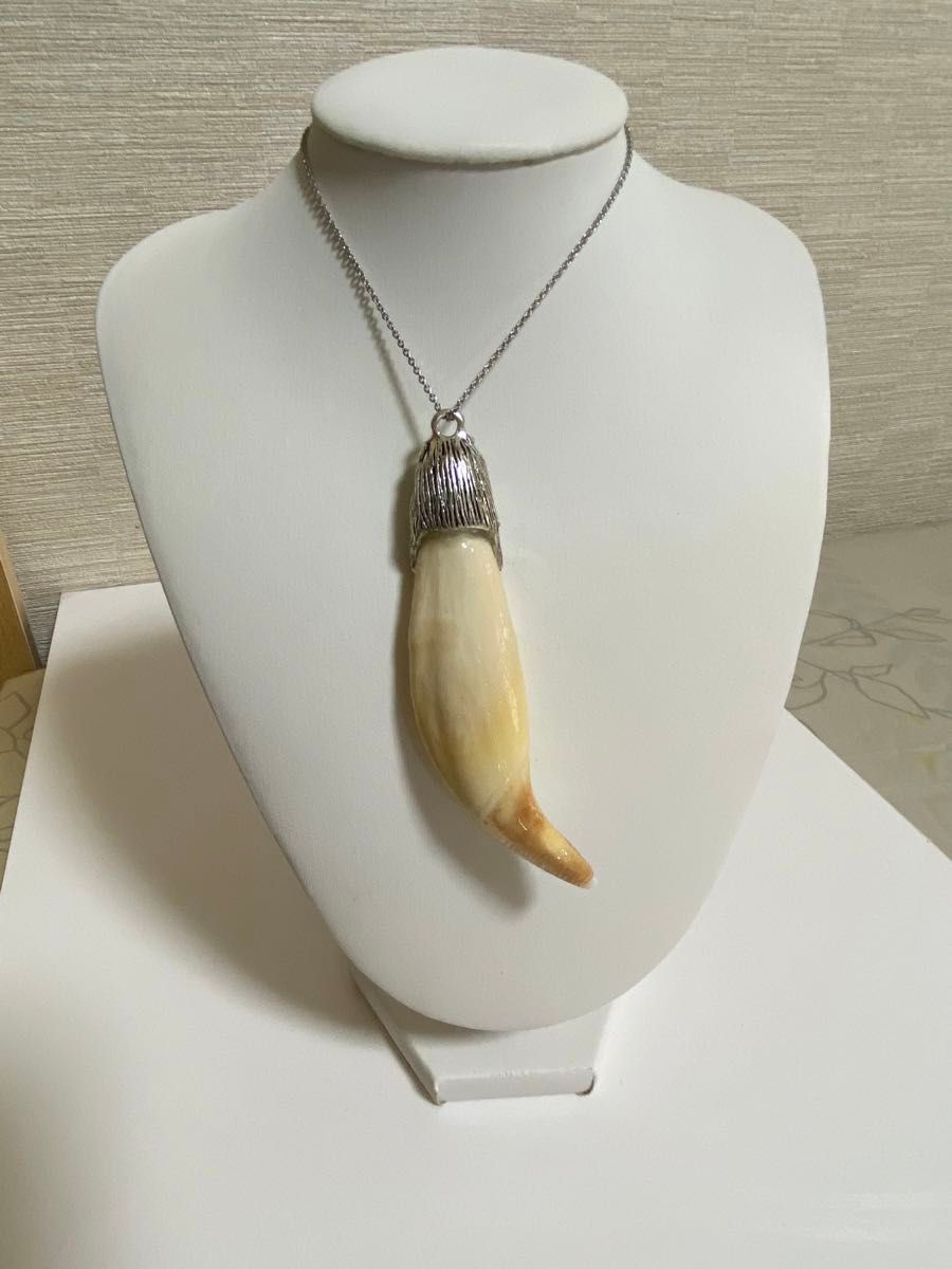 熊牙 熊歯 熊の牙 ツキノワグマ牙 ネックレス キーホルダー 送料無料