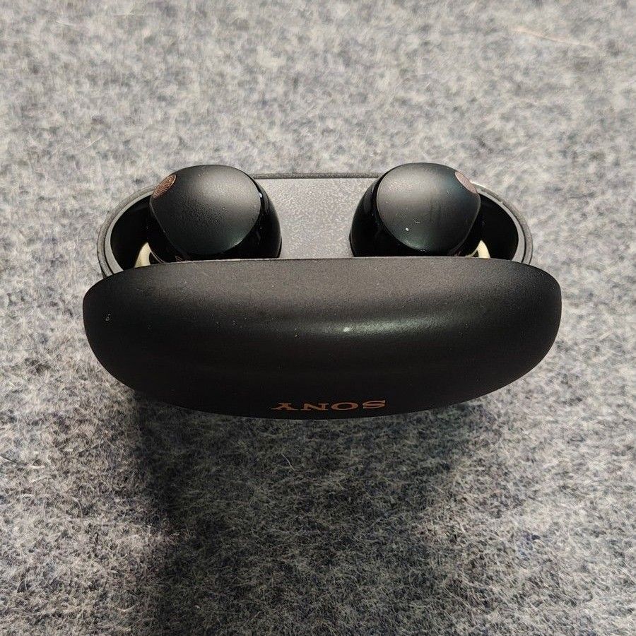 ⚠ジャンク⚠ SONY WF-1000XM5 ワイヤレスイヤホン ブラック 【公式通販】