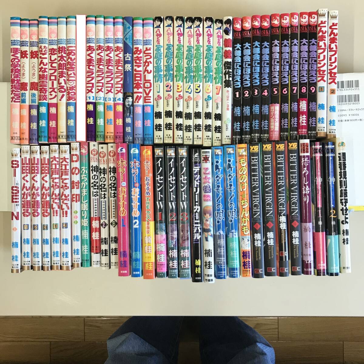 私鉄ガイドブックシリーズ5 阪急 京阪 阪神 誠文堂新光社 2025年最新