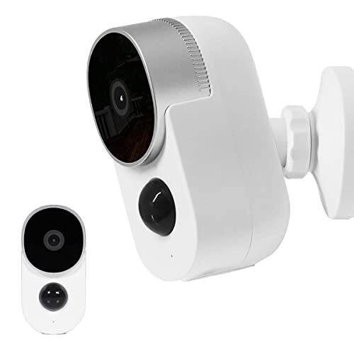 真作】/幸野楳嶺/椿図/煎茶/花瓶/桐箱二重箱付/布袋屋掛軸HG-275