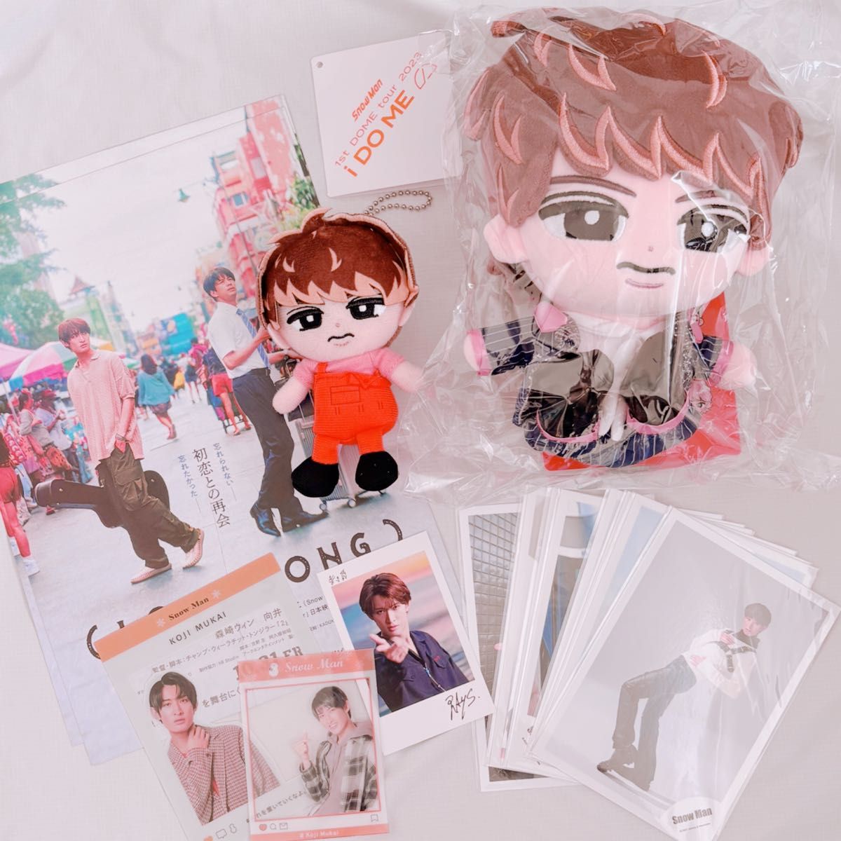 Snow Man 向井康二 すのチル（チルぬい） ・アクスタ 等 グッズセット