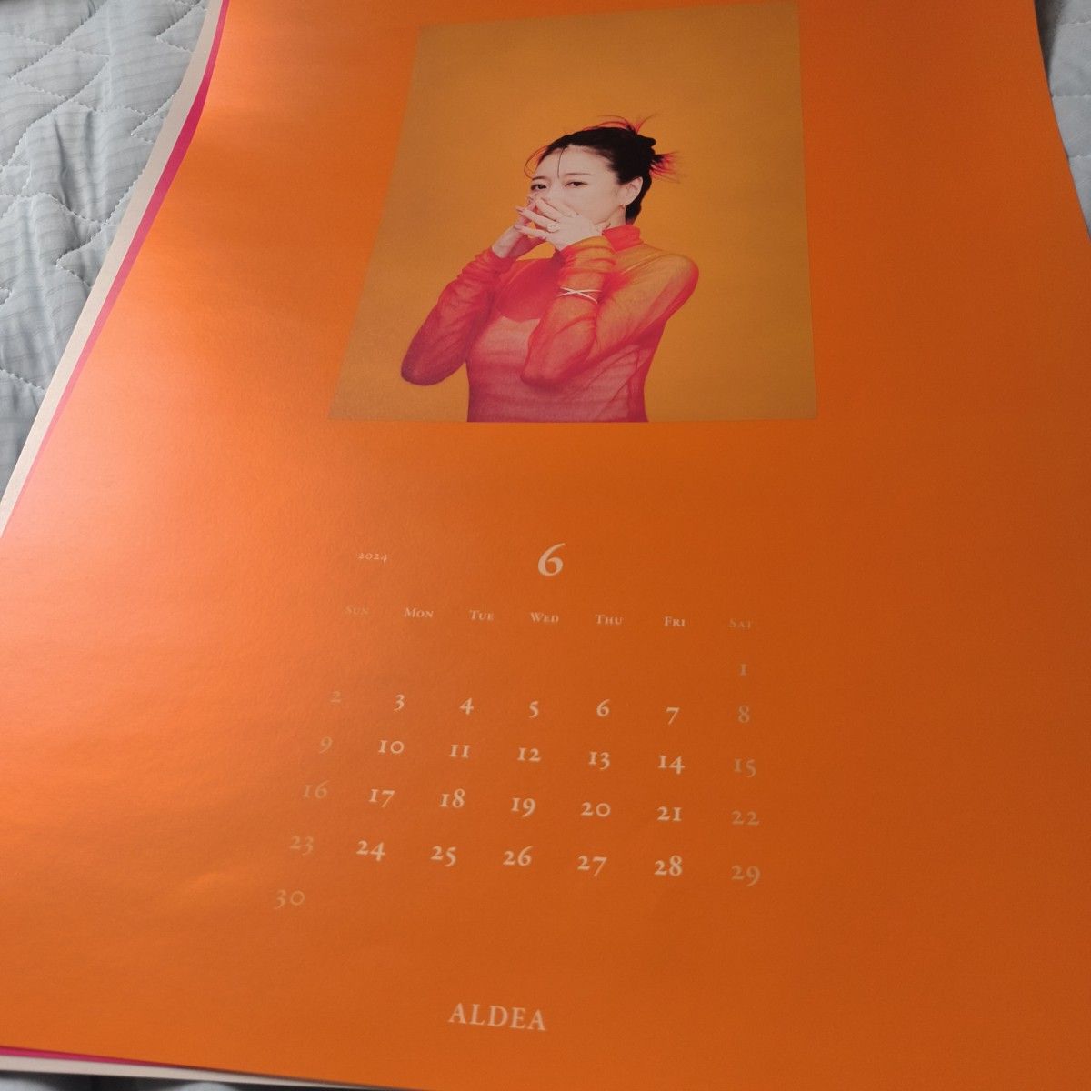 中森明菜 2024年カレンダー ALDEA 中森明菜ファンクラブALDEA限定2024