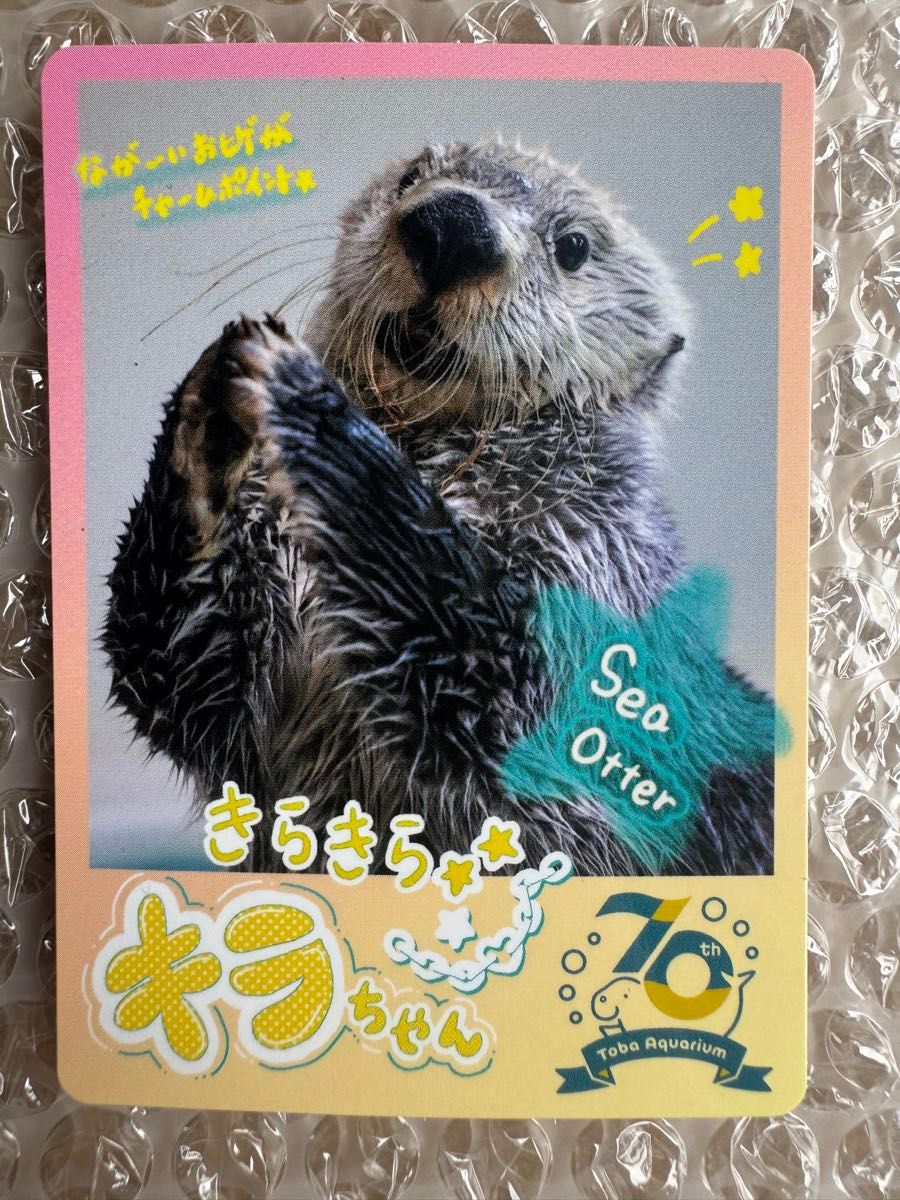 鳥羽水族館コレクションカード メイ シークレット 鳥羽水族館