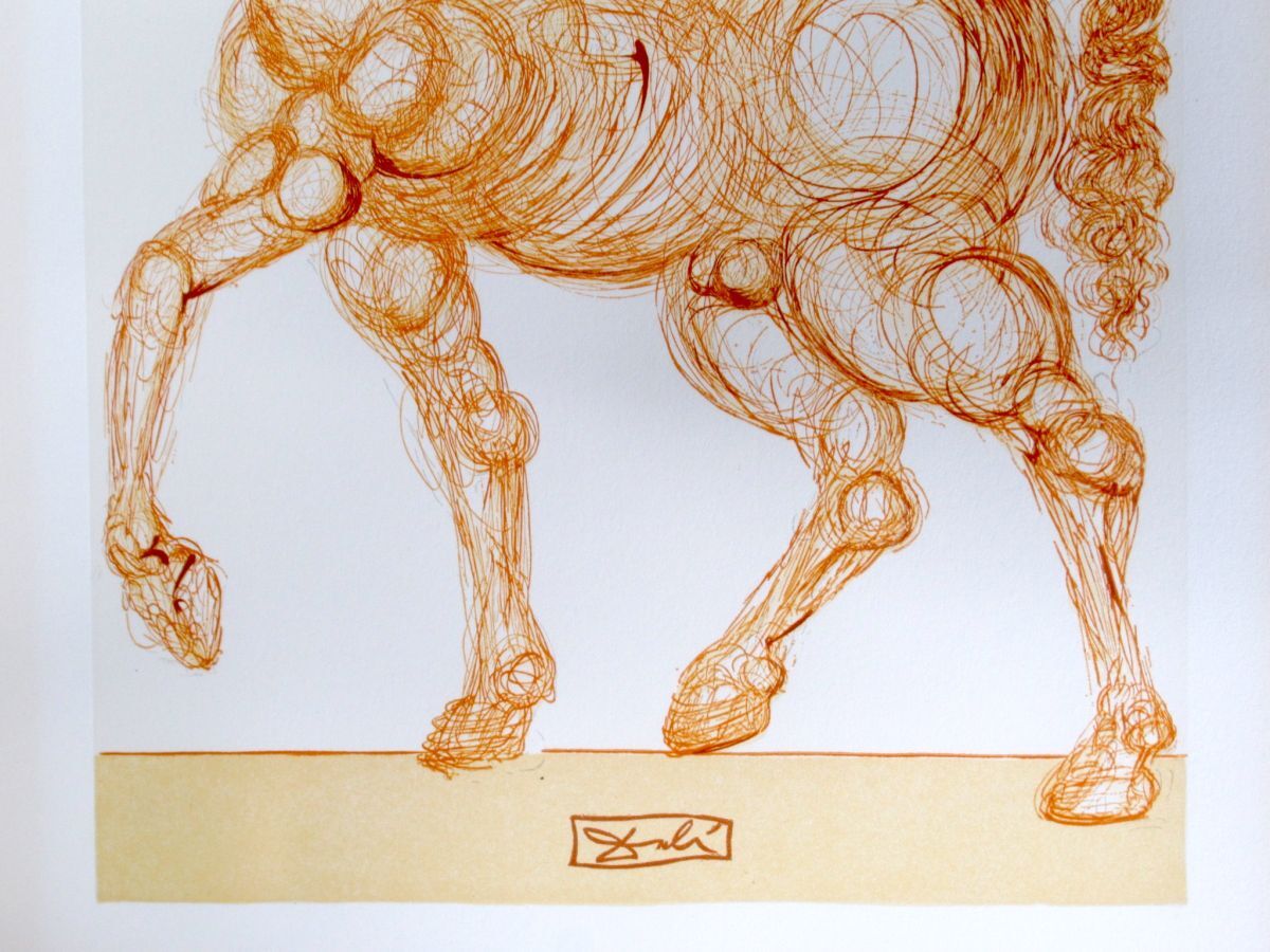 真作 サルバドール ダリ リトグラフ 限定500部 保証書付 エディション