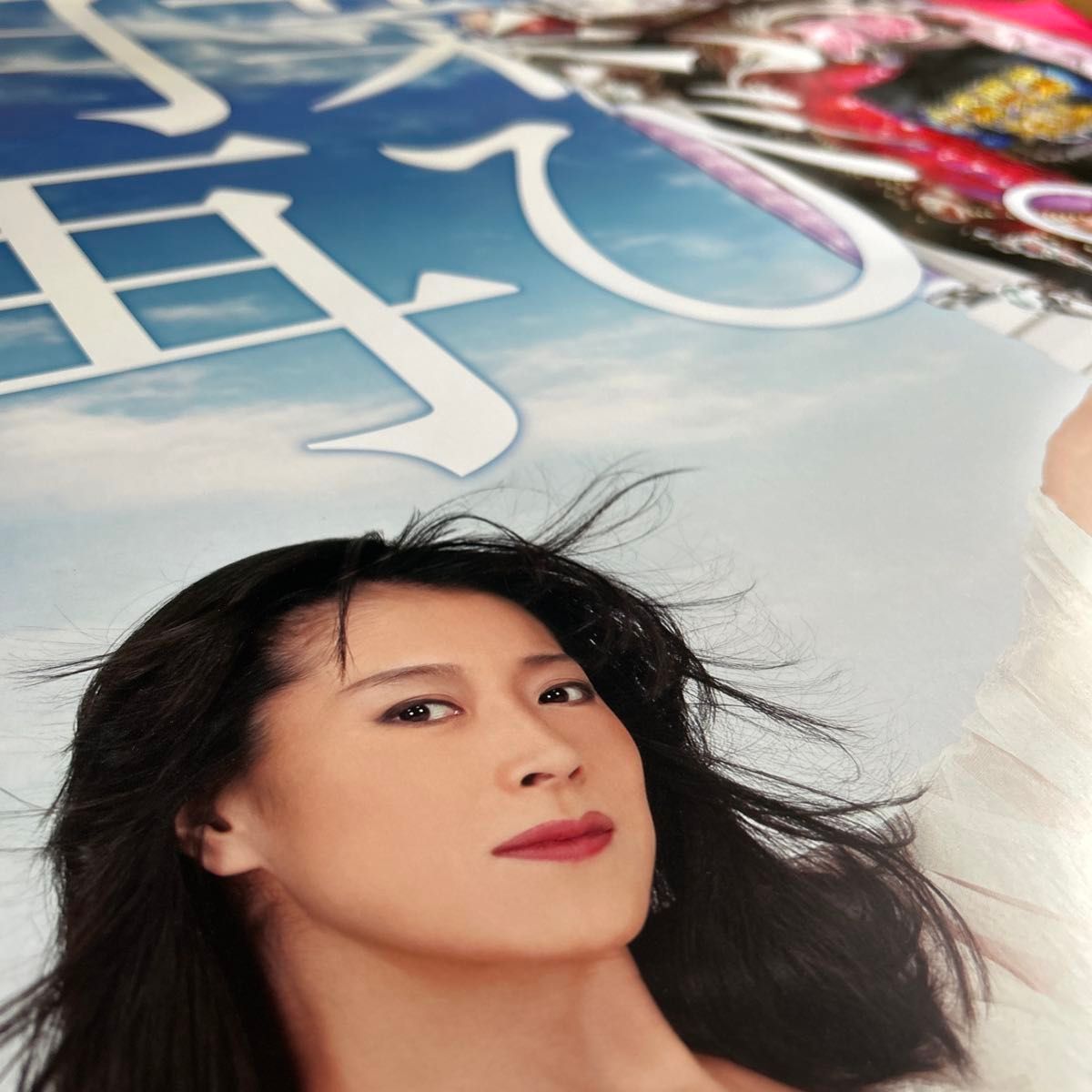 定番人気，HOT 中森明菜 ポスター 大きめ 縦長