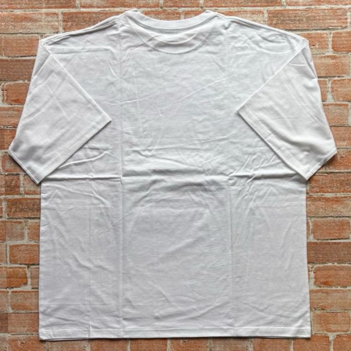 RADWIMPS 15th Anniversary 限定生産 Tシャツ 未着用 ラッドウィンプス