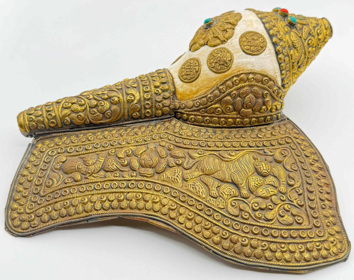 ◇チベット密教法具 法螺貝（シャンカ）