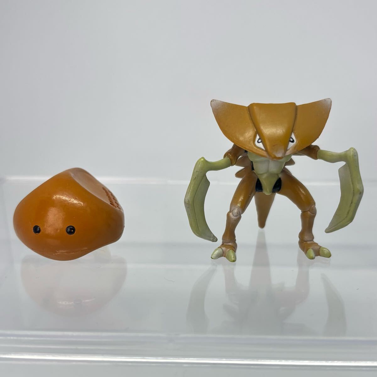 モンコレカブトカブトプス