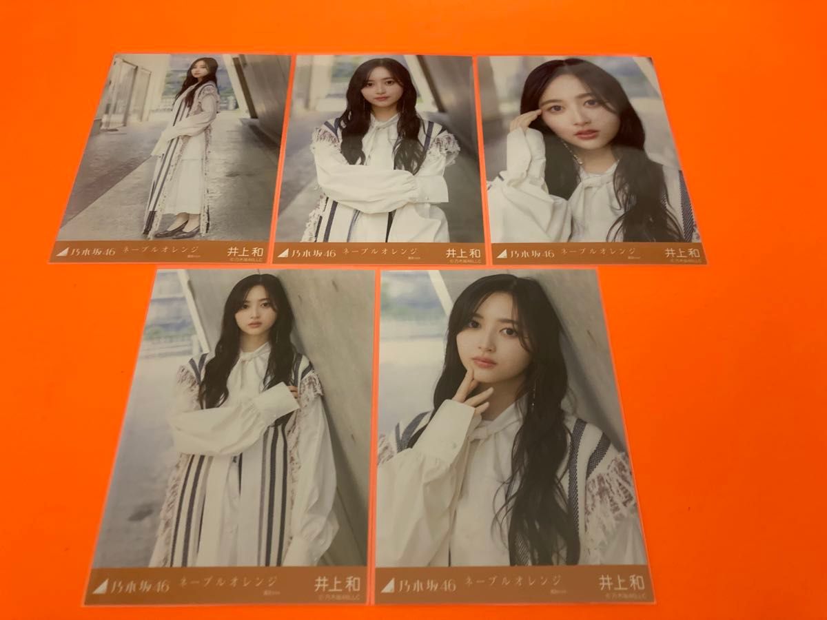 乃木坂46 生写真 ネーブルオレンジ 29名 フルコンプ 井上和 中西アルノ