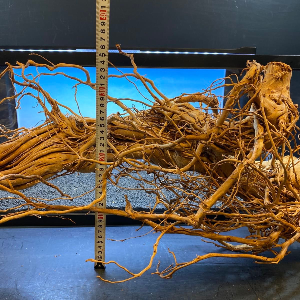 MTW-6352蔦流木1点物 アーチ流木 90cm以上水槽用流木 アクアリウム