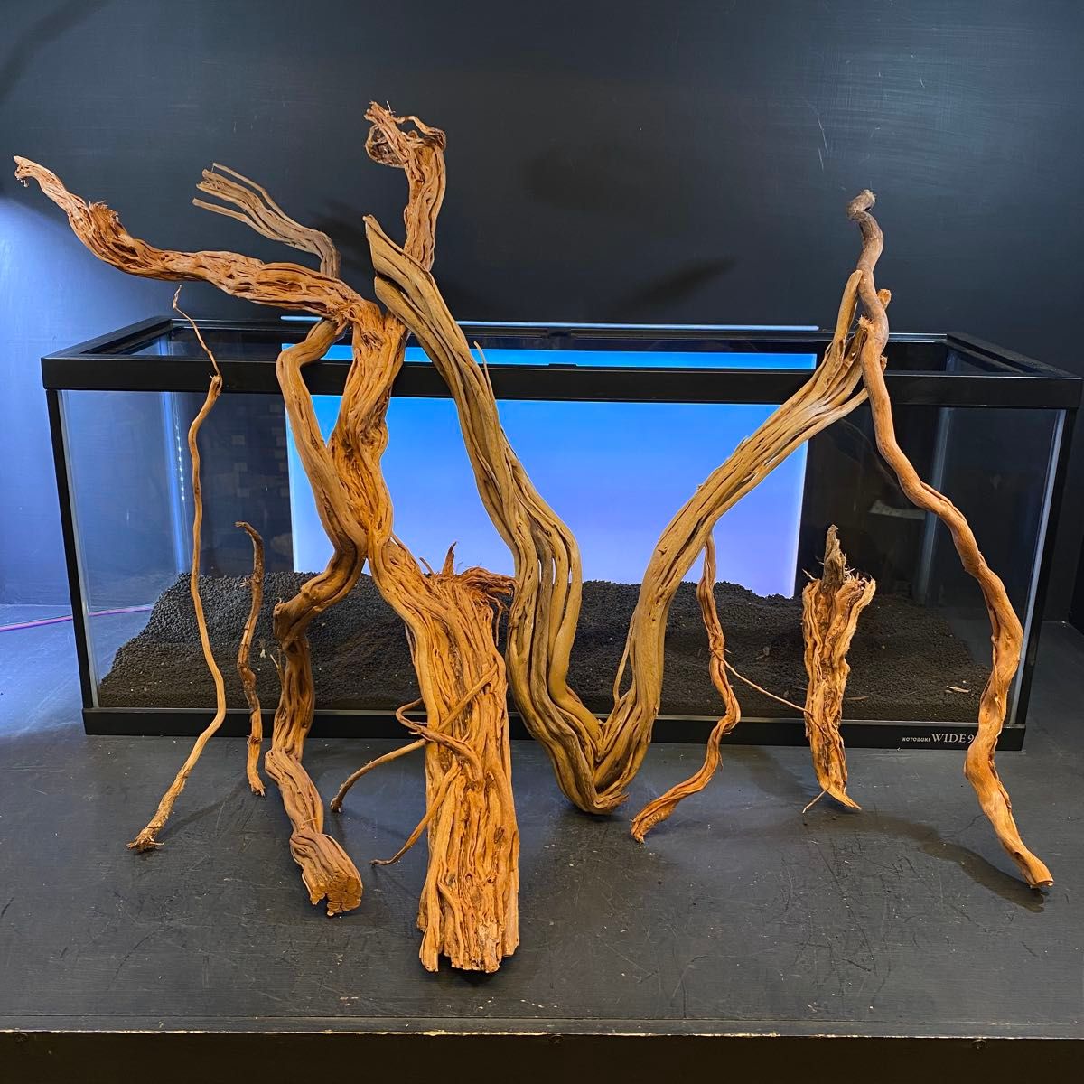 MTW-6357蔦流木8本セット 90cm水槽用流木 アクアリウム MTW-6527特大蔦