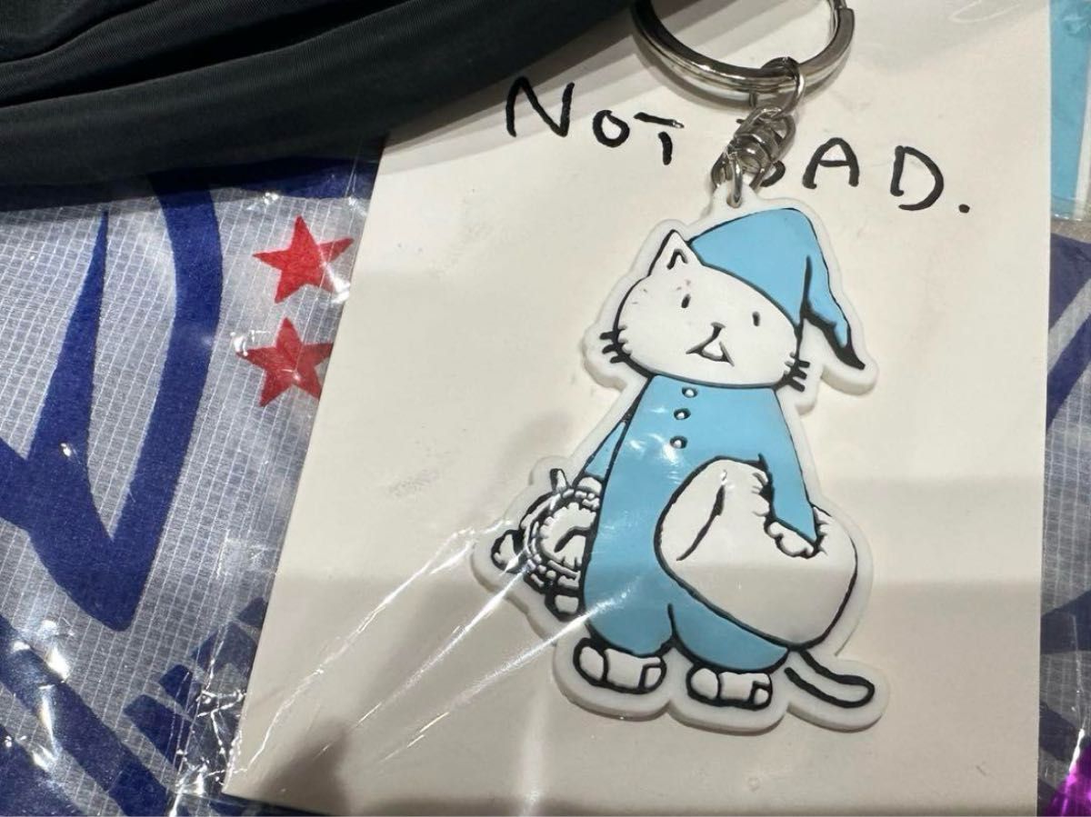 コンプ！BUMP OF CHICKEN すみっコぐらしコラボ キーホルダー BUMP OF