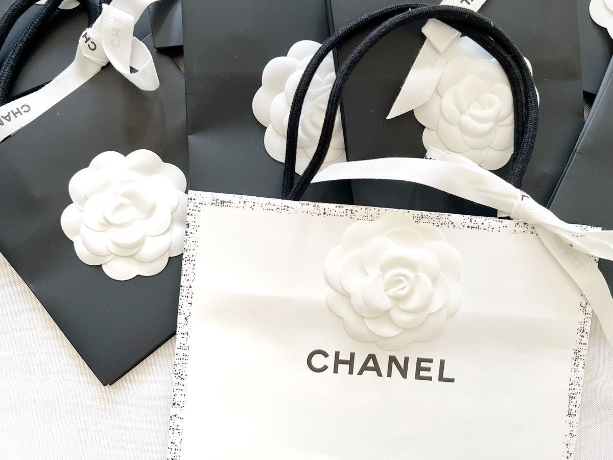 CHANEL保存袋9枚セット