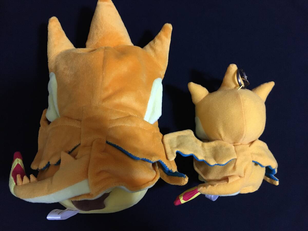 ポケモンセンター限定 メガリザードンYのポンチョを着たピカチュウ