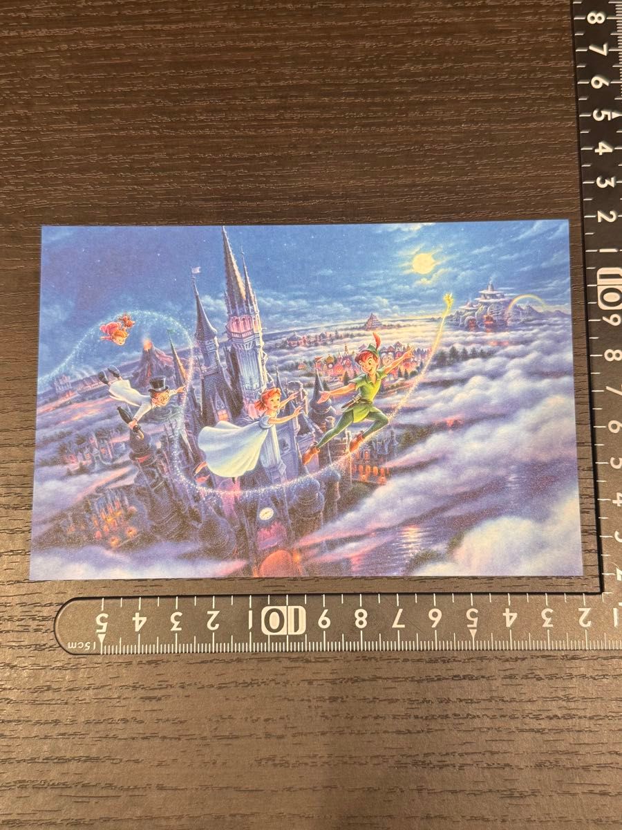東京ディズニーリゾート ポストカード10枚セット｜Yahoo!フリマ（旧