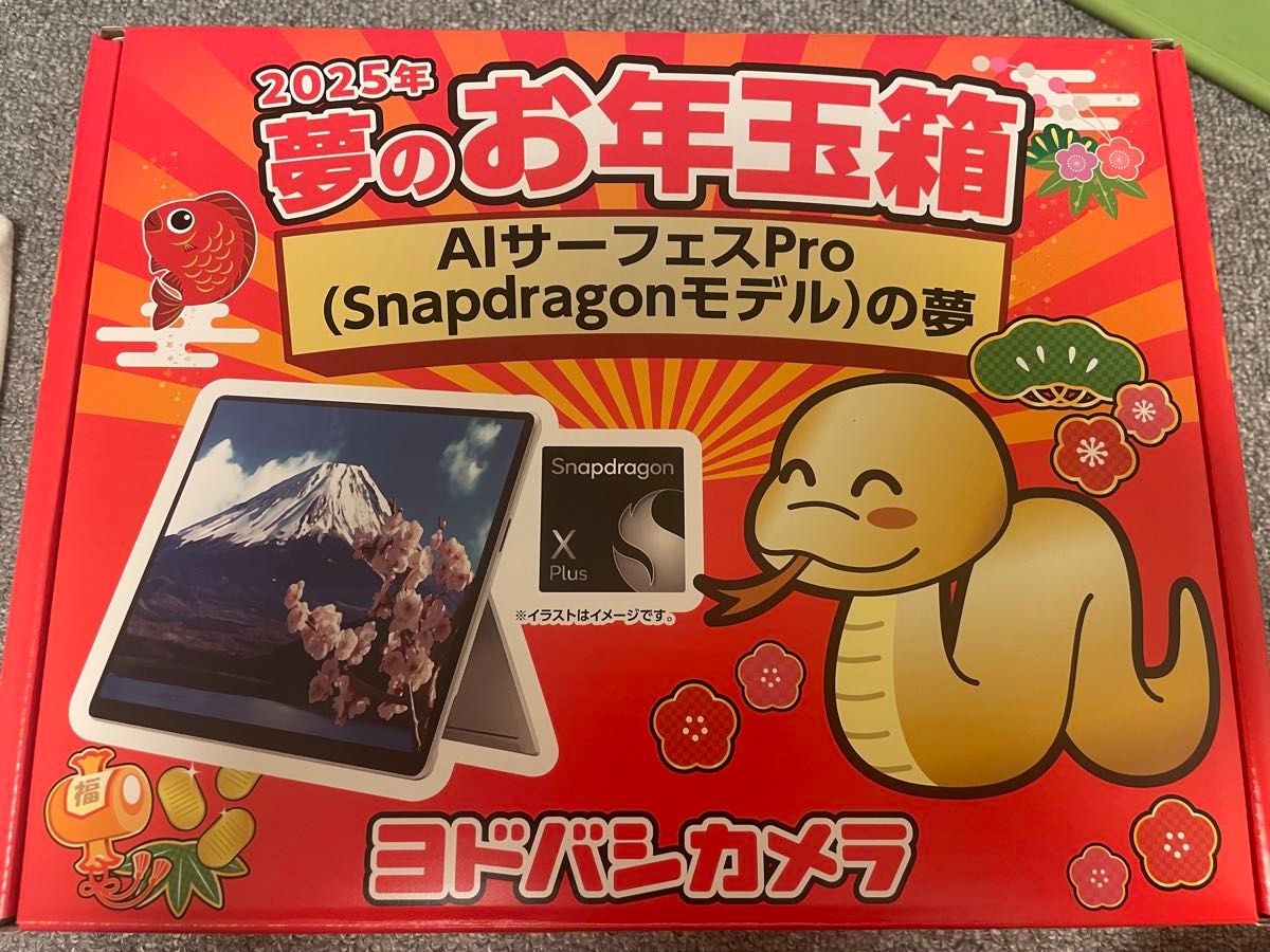 にゃんこさま専用】ヨドバシ 福袋「AIサーフェスProの夢」より 4点