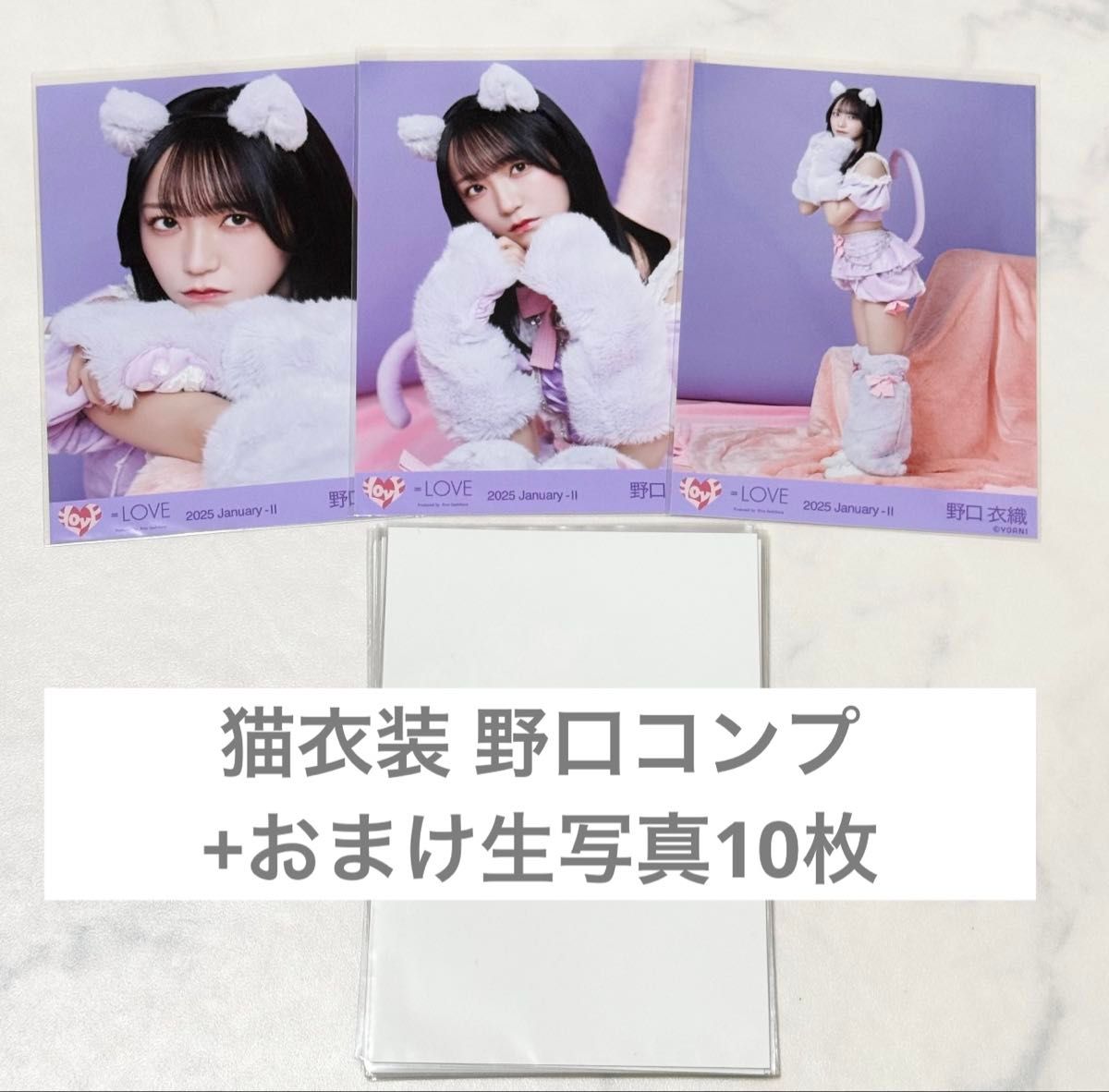 野口衣織 猫衣装 直筆 野口衣織 7周年 猫衣装 ヨリ 直筆 野口衣織 猫