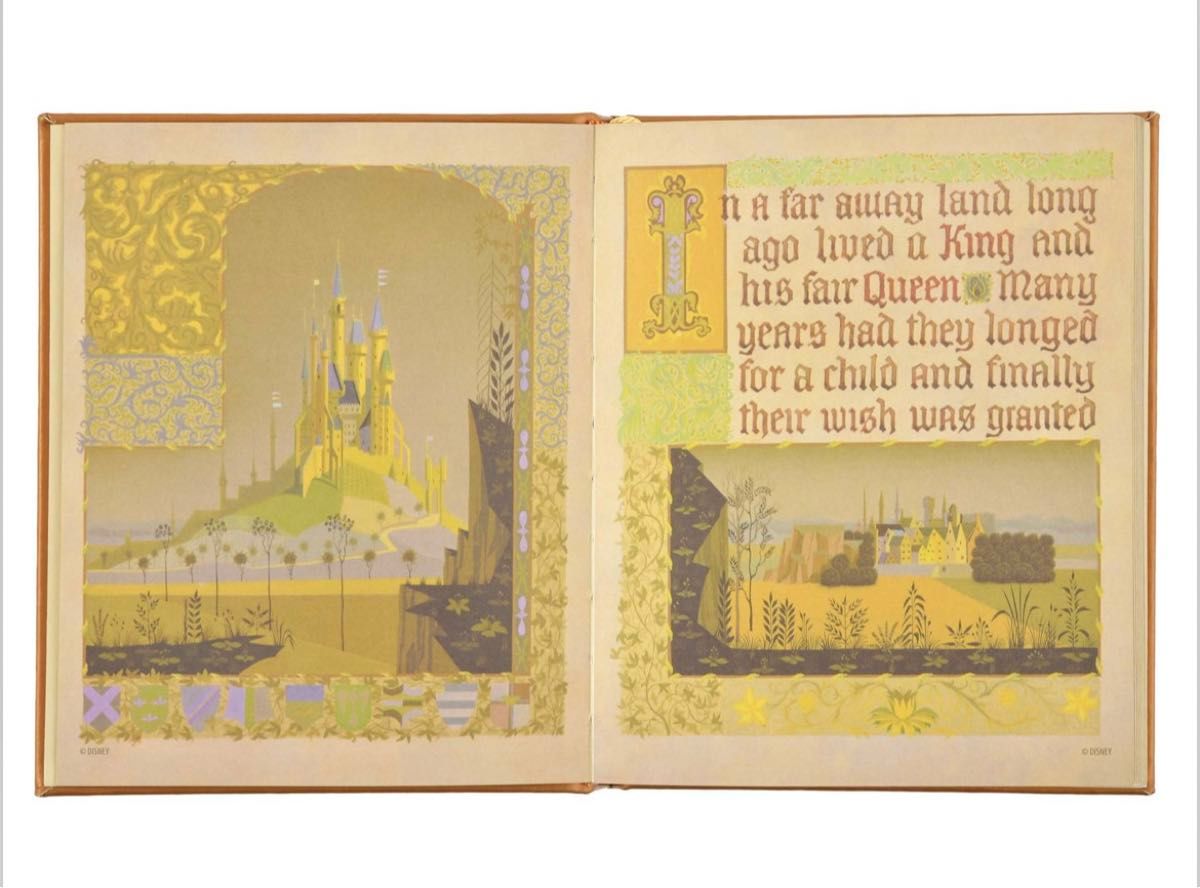 ディズニーストア限定 眠れる森の美女ノートブック新品｜Yahoo!フリマ