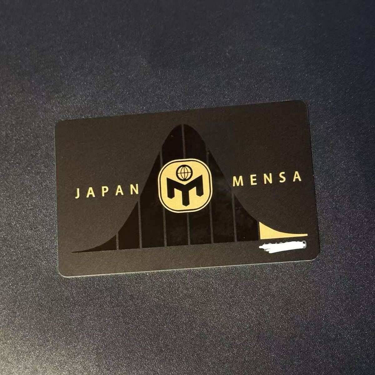 JAPAN MENSA メンサ 会員証 メンバーカード デザイン 最新版 希少品