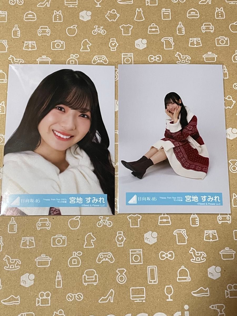 日向坂46 宮地すみれ HappyTrainTour2023 サンタ衣装 【公式通販】