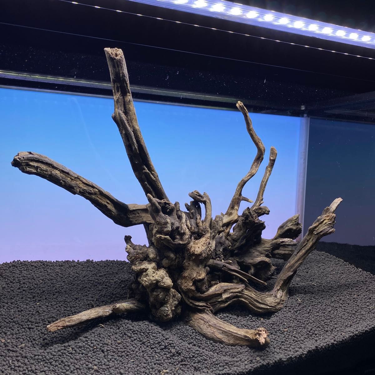 MSRW-5934天然流木レイアウトセット スリムウッド アクアリウム｜Yahoo