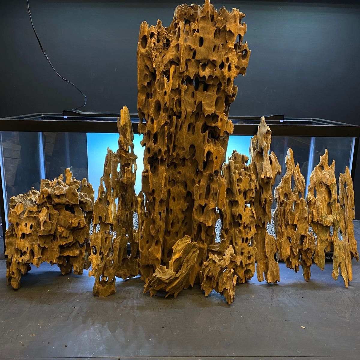 MMW-5568 マシンガンウッド8本まとめ売り 流木セット シュリンプ飼育に